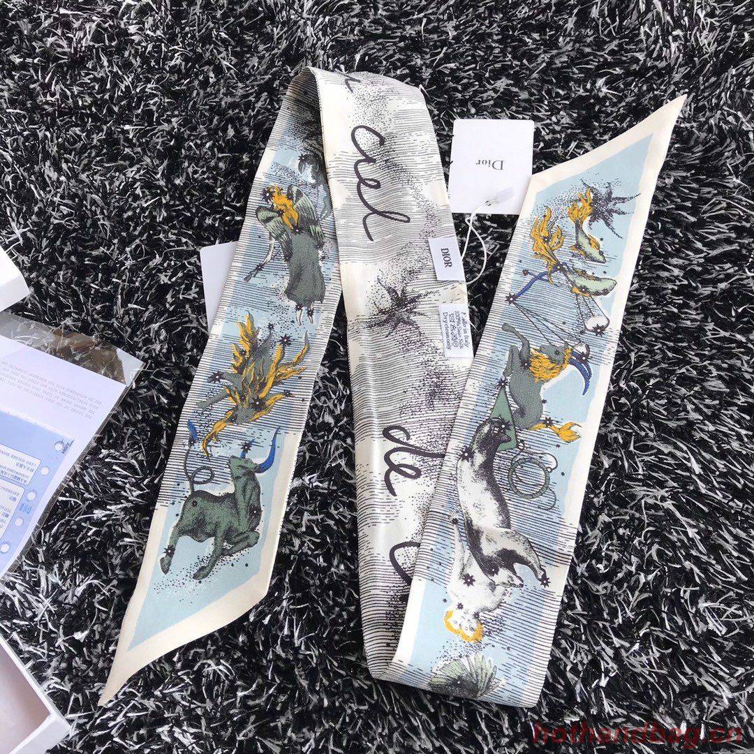 Dior Scarf DIC00005