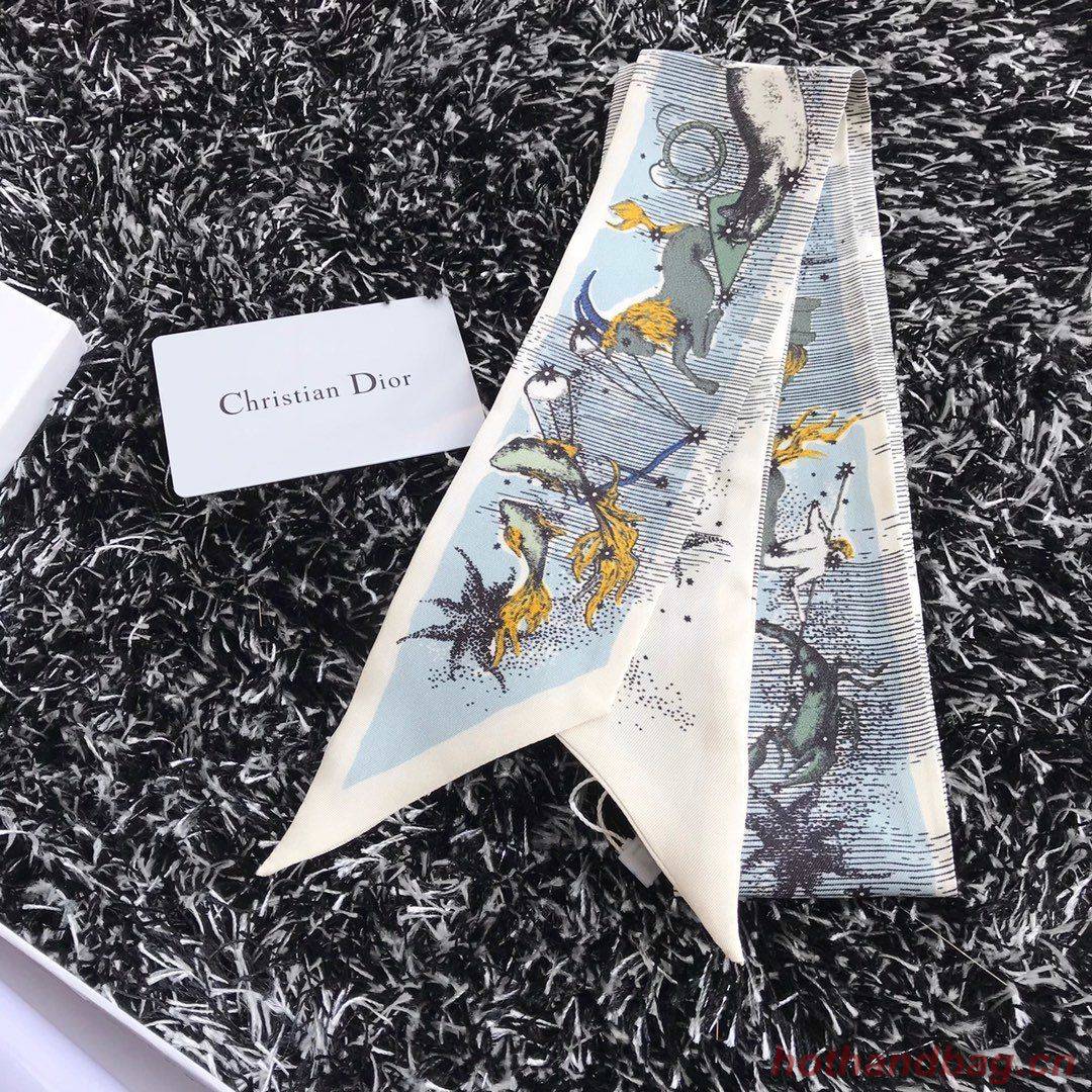 Dior Scarf DIC00005