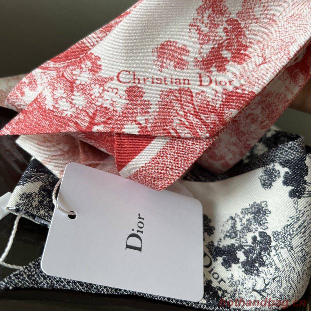 Dior Scarf DIC00006