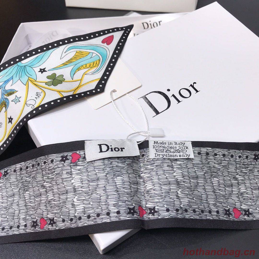 Dior Scarf DIC00009