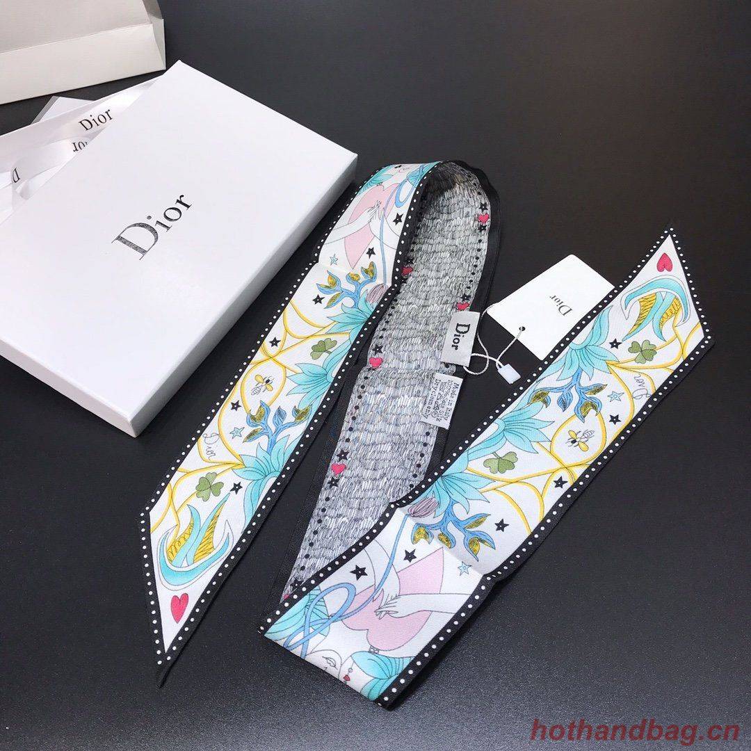 Dior Scarf DIC00009