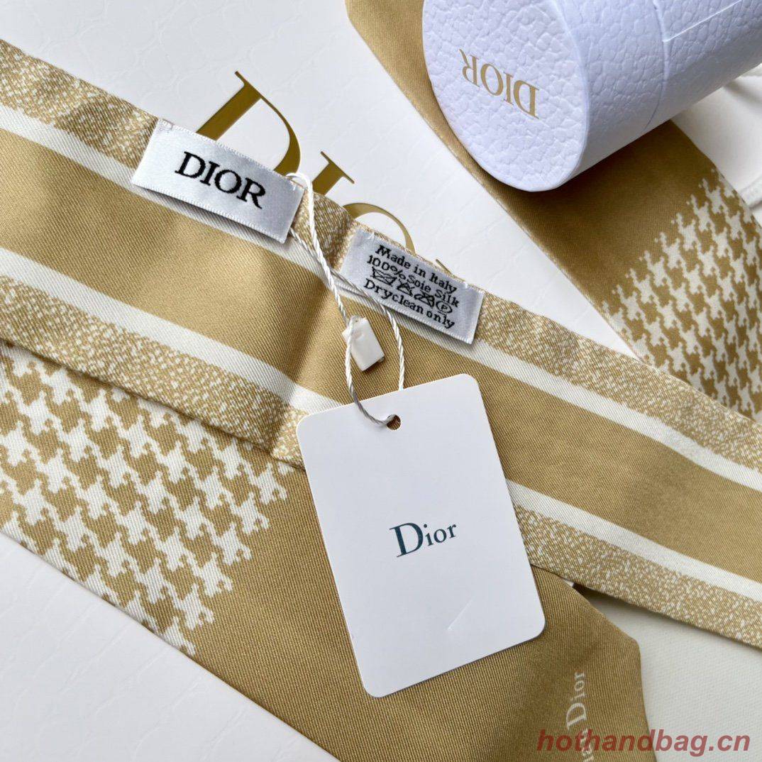 Dior Scarf DIC00013