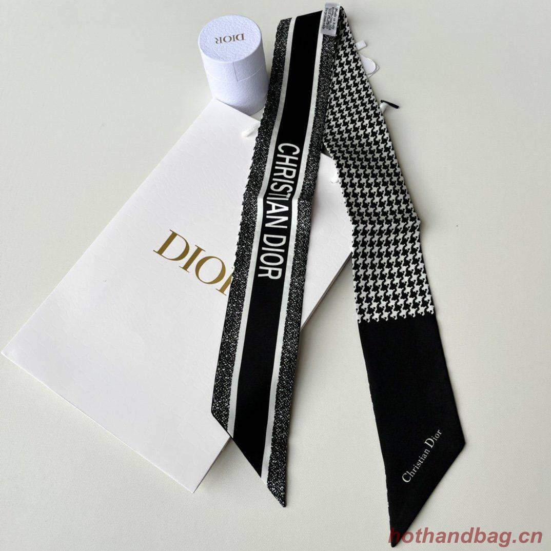 Dior Scarf DIC00015