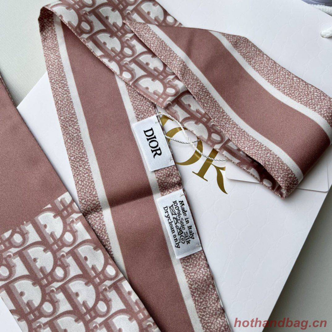 Dior Scarf DIC00016