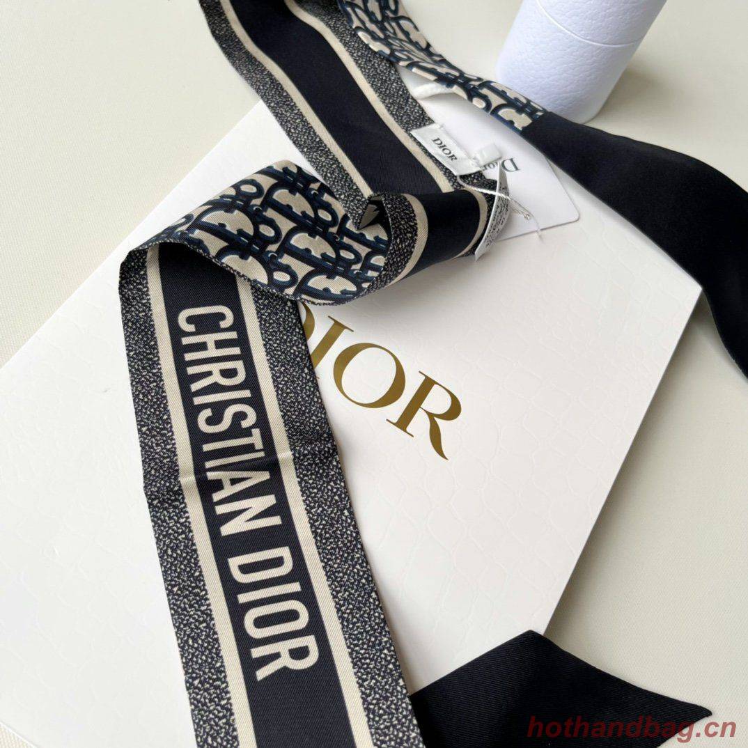 Dior Scarf DIC00018