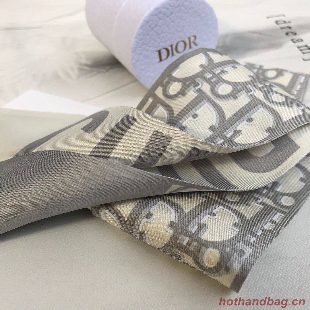 Dior Scarf DIC00019