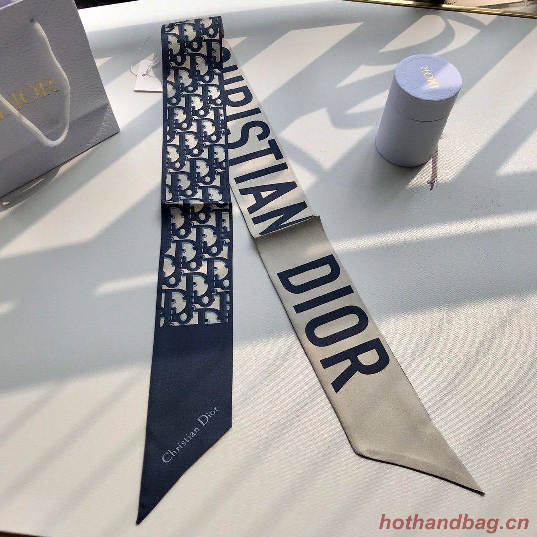 Dior Scarf DIC00020