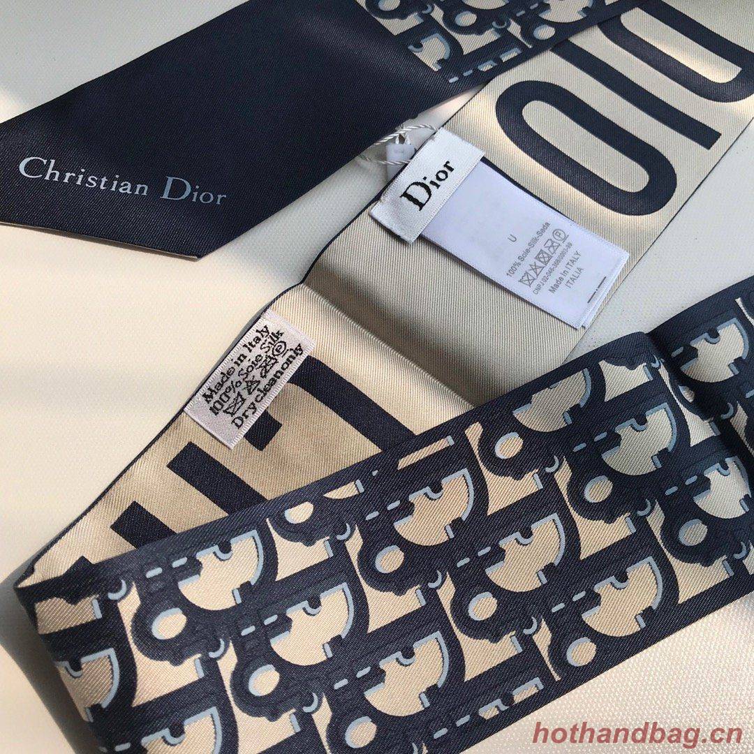 Dior Scarf DIC00020