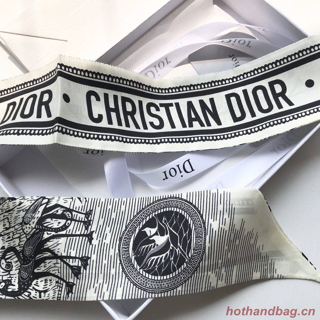 Dior Scarf DIC00021