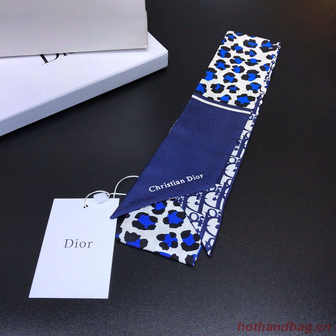 Dior Scarf DIC00023