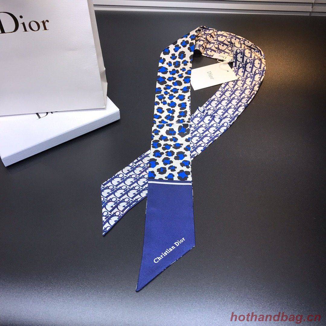 Dior Scarf DIC00023