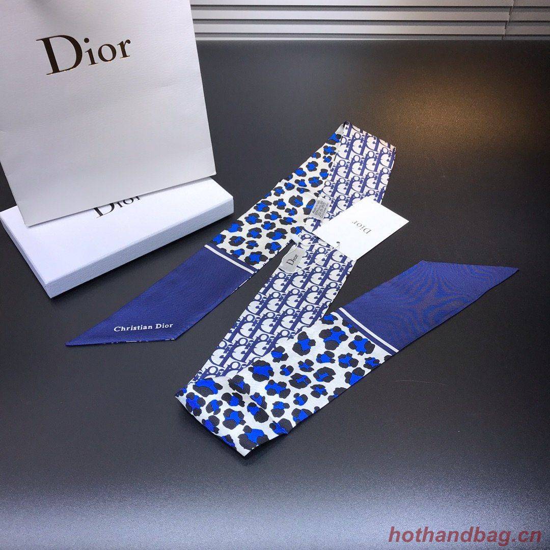 Dior Scarf DIC00023