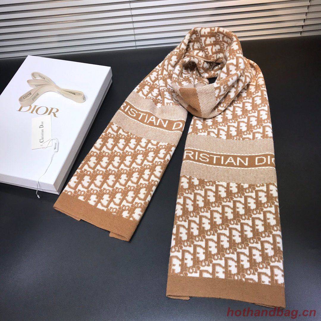 Dior Scarf DIC00029