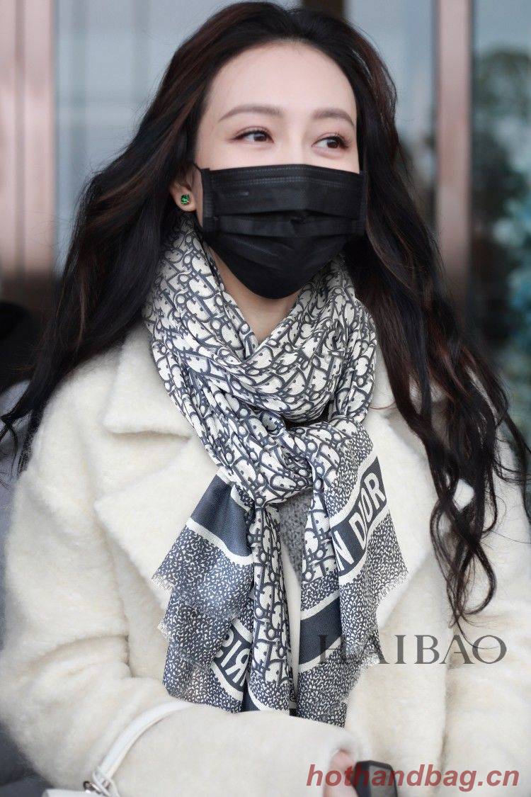 Dior Scarf DIC00036