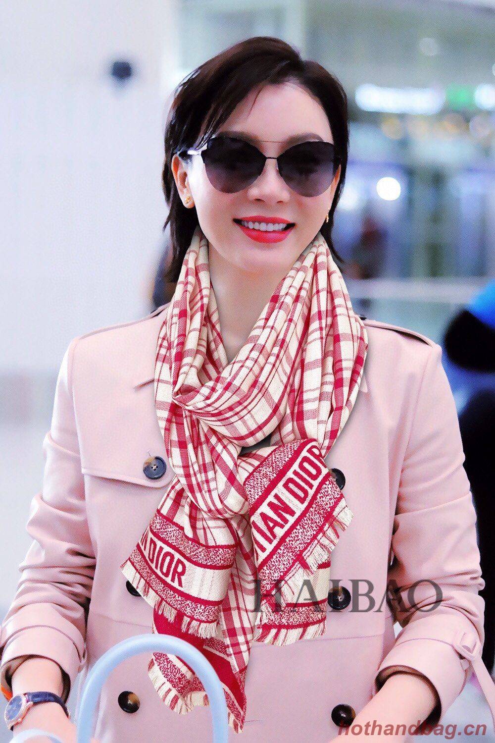 Dior Scarf DIC00038