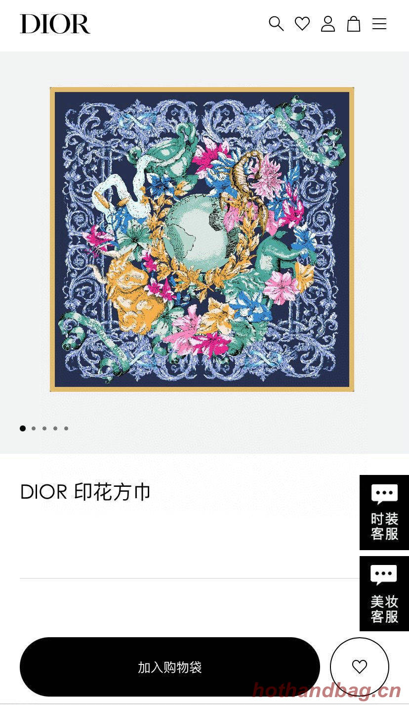 Dior Scarf DIC00043