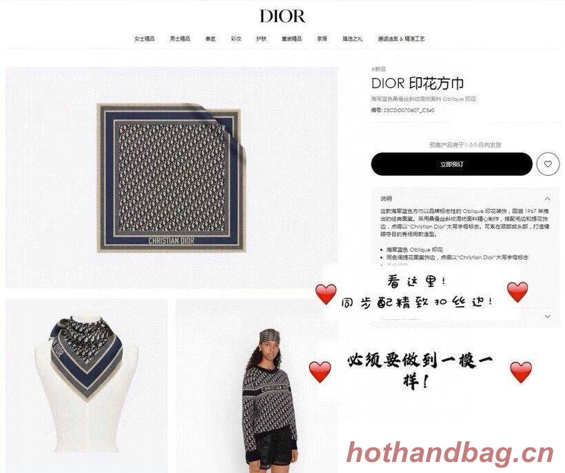 Dior Scarf DIC00051