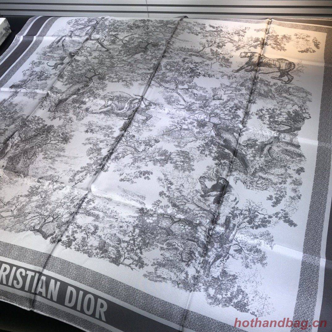 Dior Scarf DIC00058