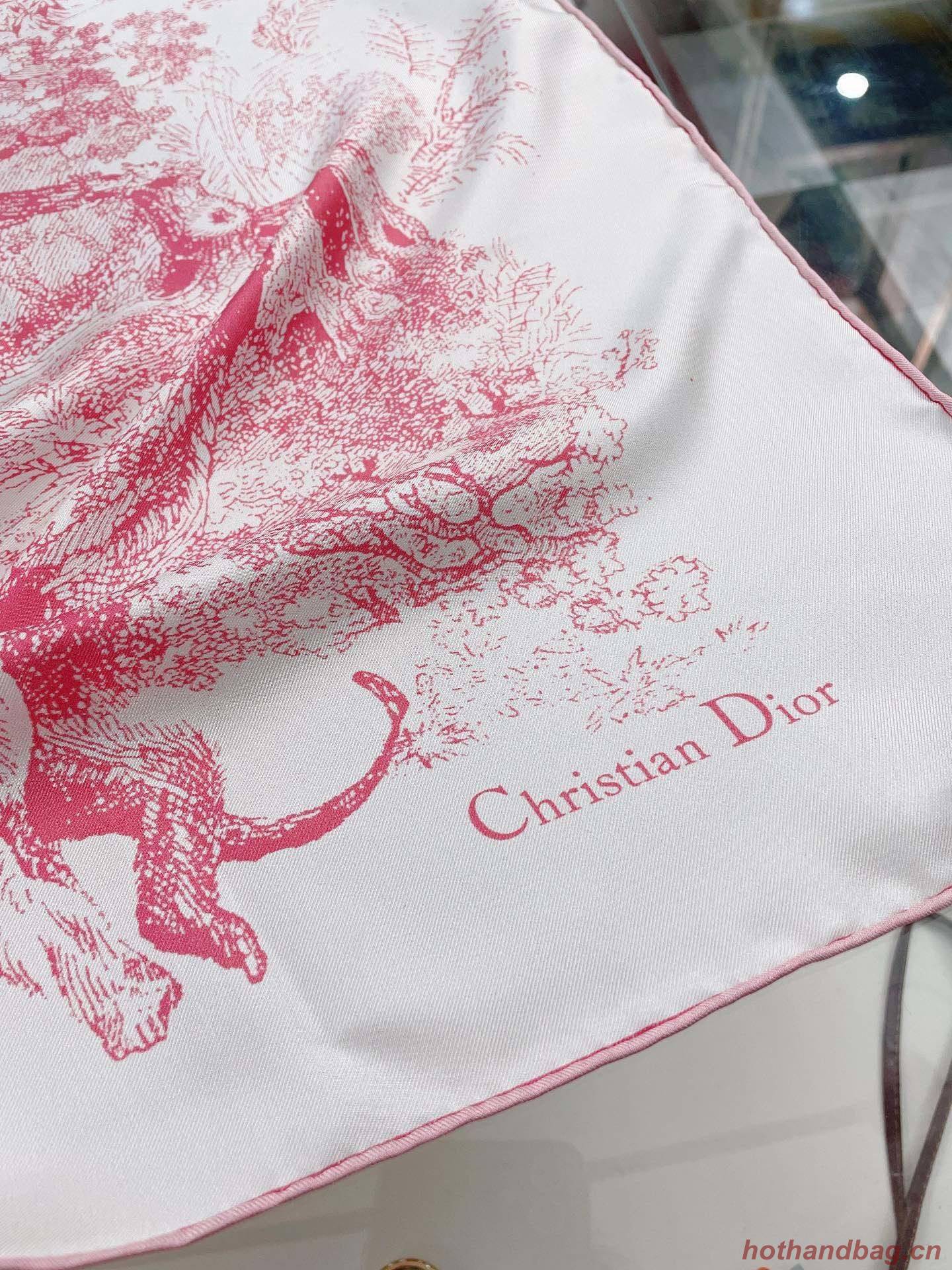 Dior Scarf DIC00062