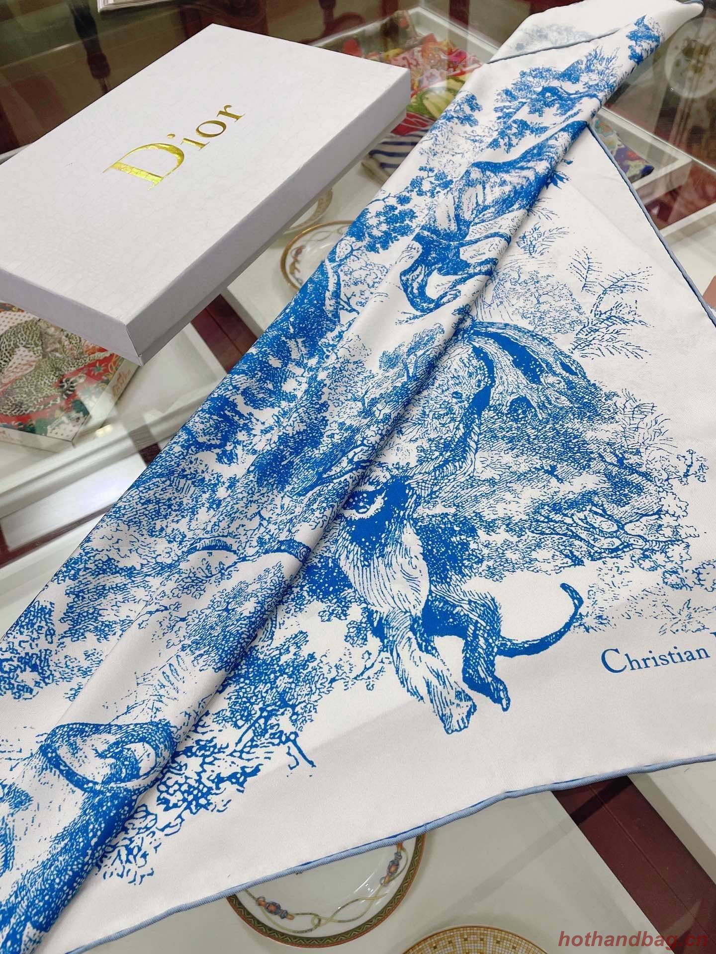 Dior Scarf DIC00063