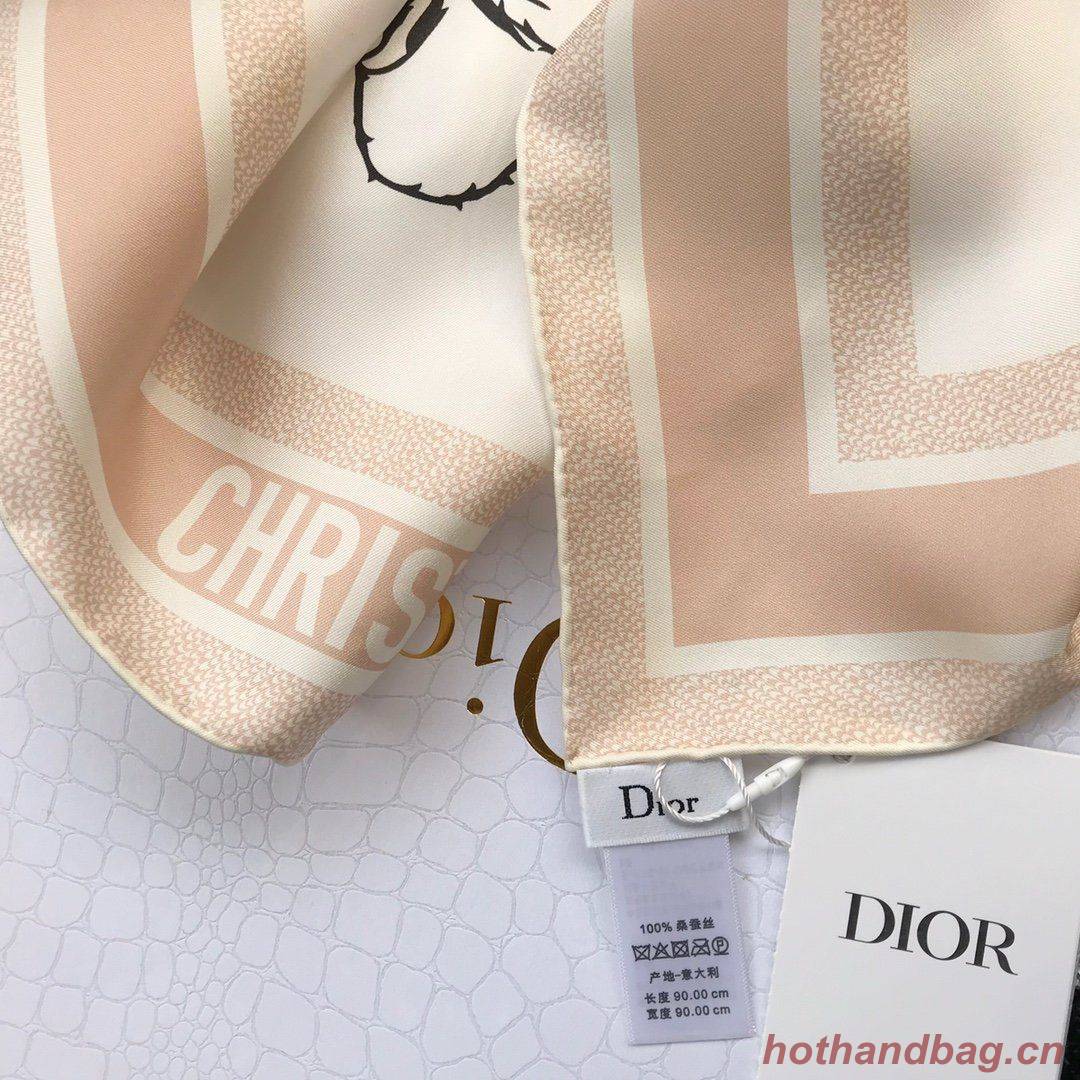 Dior Scarf DIC00068