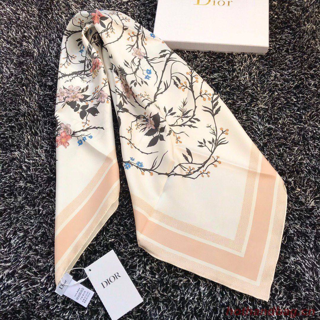 Dior Scarf DIC00068