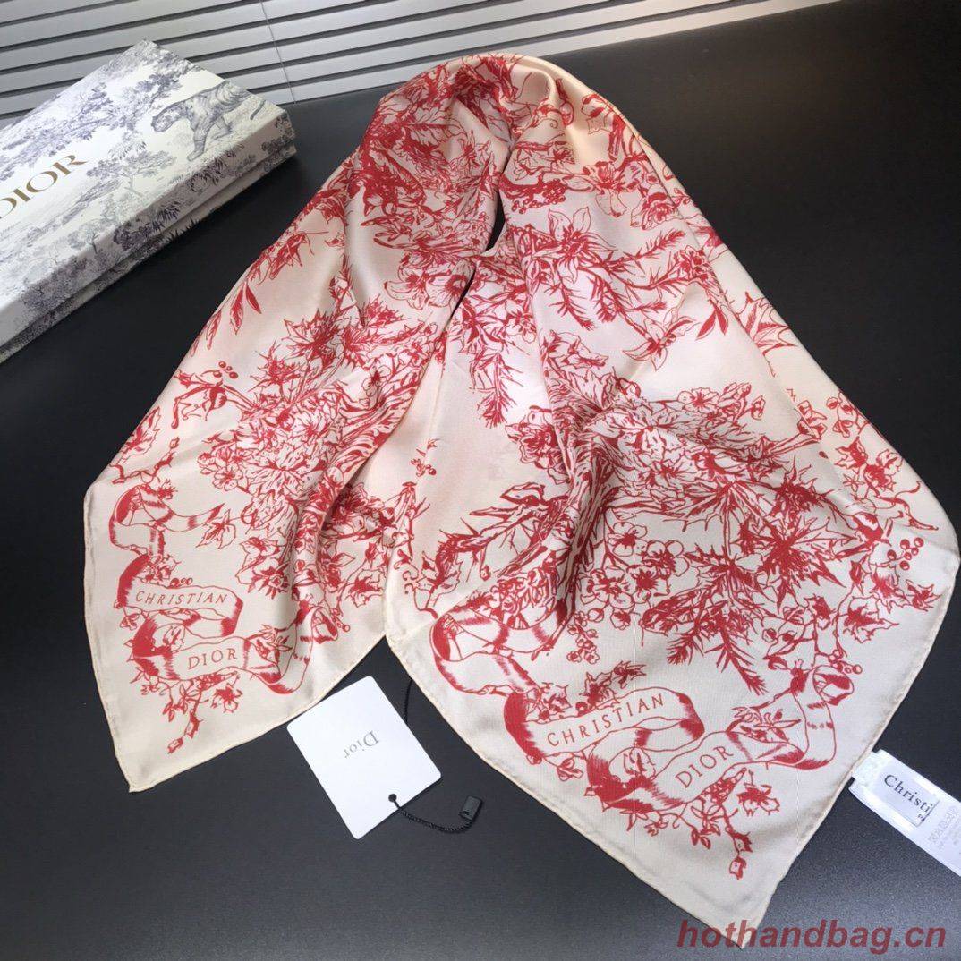 Dior Scarf DIC00072