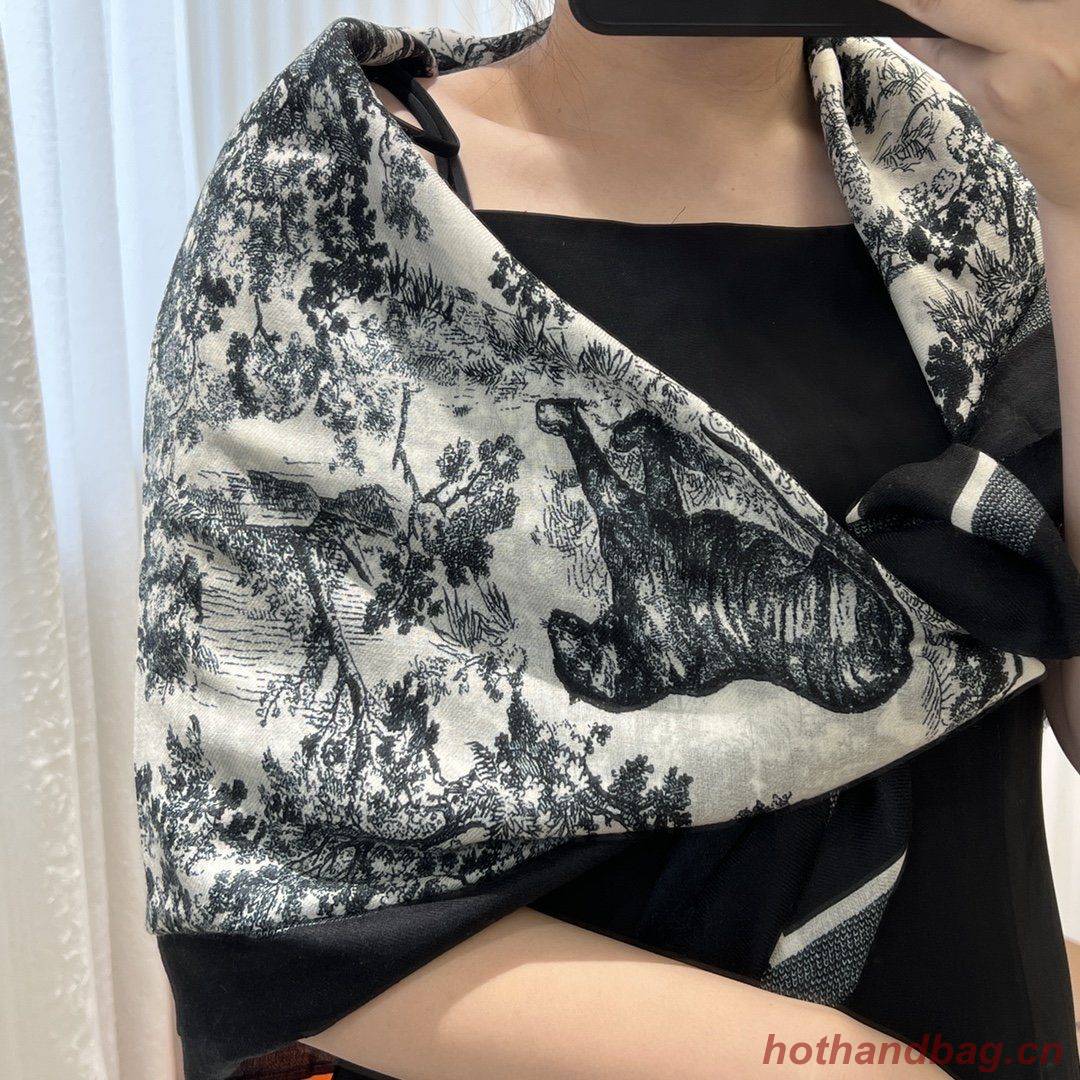 Dior Scarf DIC00078