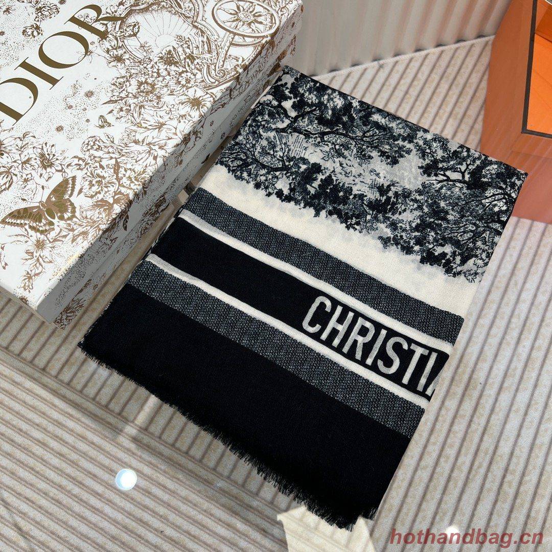 Dior Scarf DIC00078