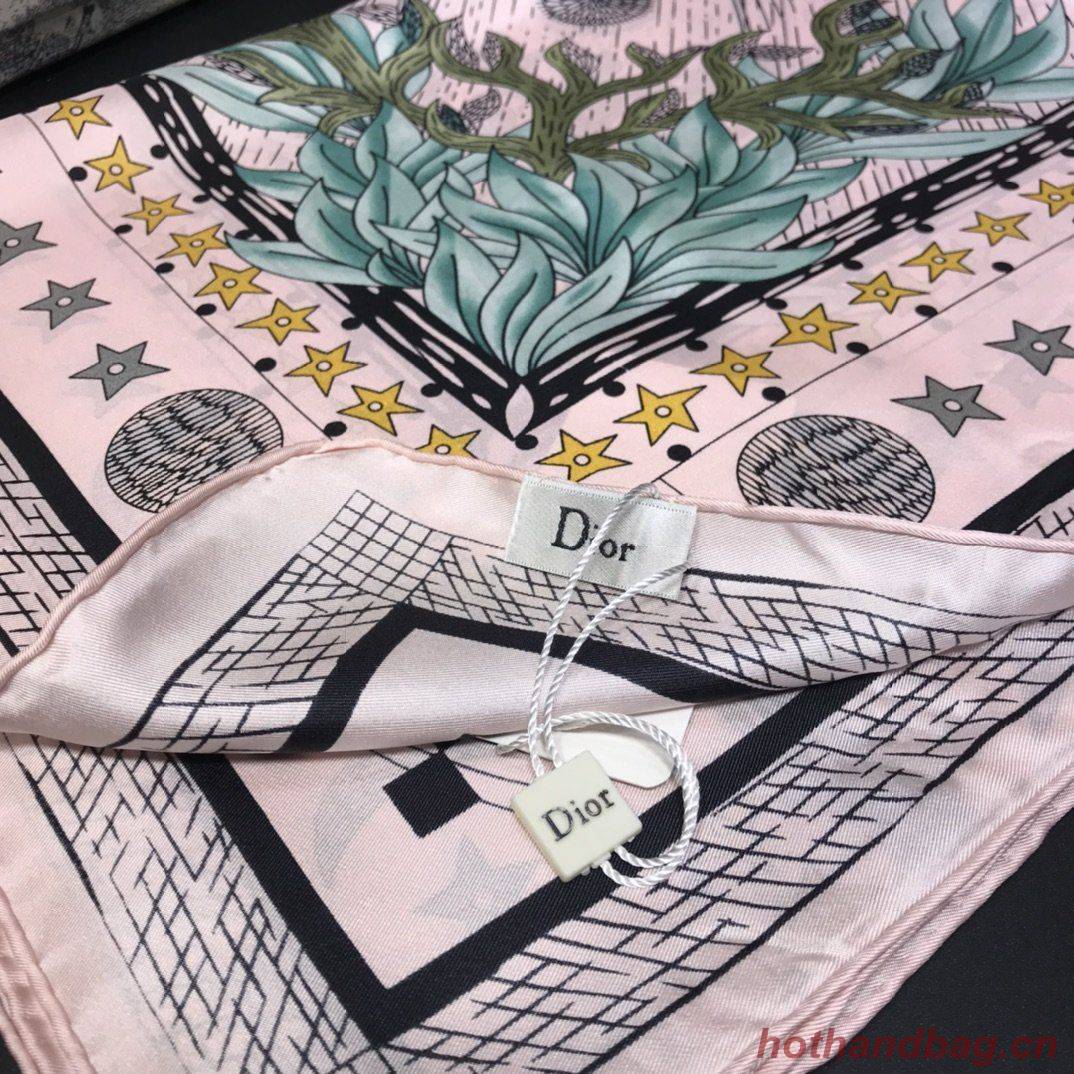 Dior Scarf DIC00083