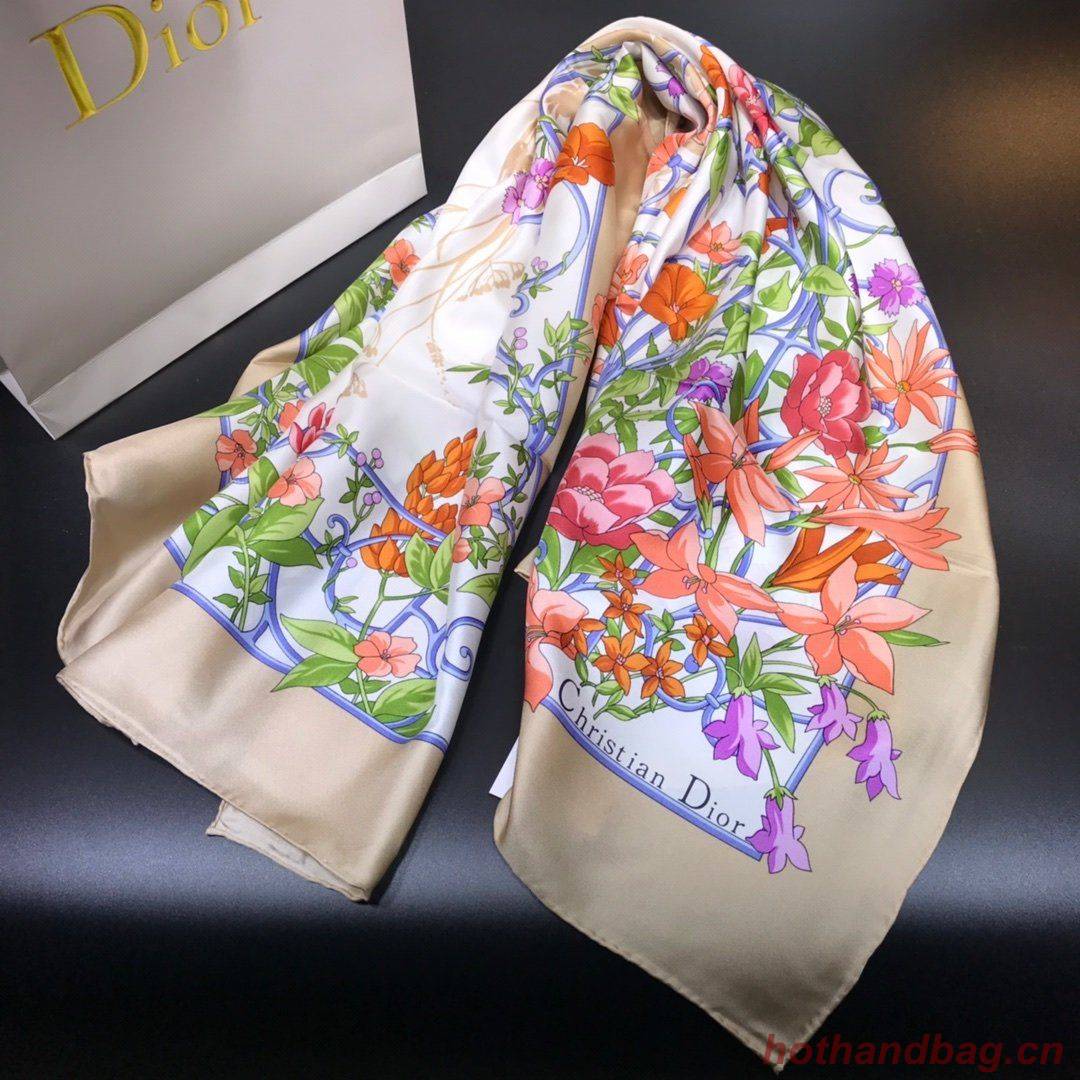 Dior Scarf DIC00085