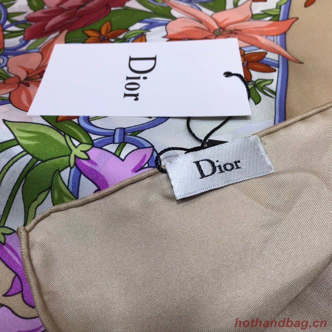 Dior Scarf DIC00085