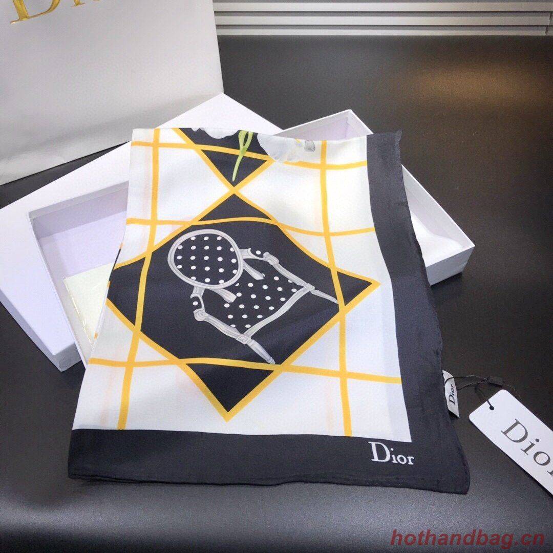 Dior Scarf DIC00087