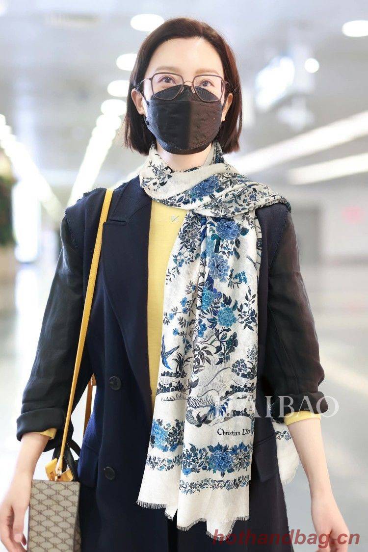 Dior Scarf DIC00102