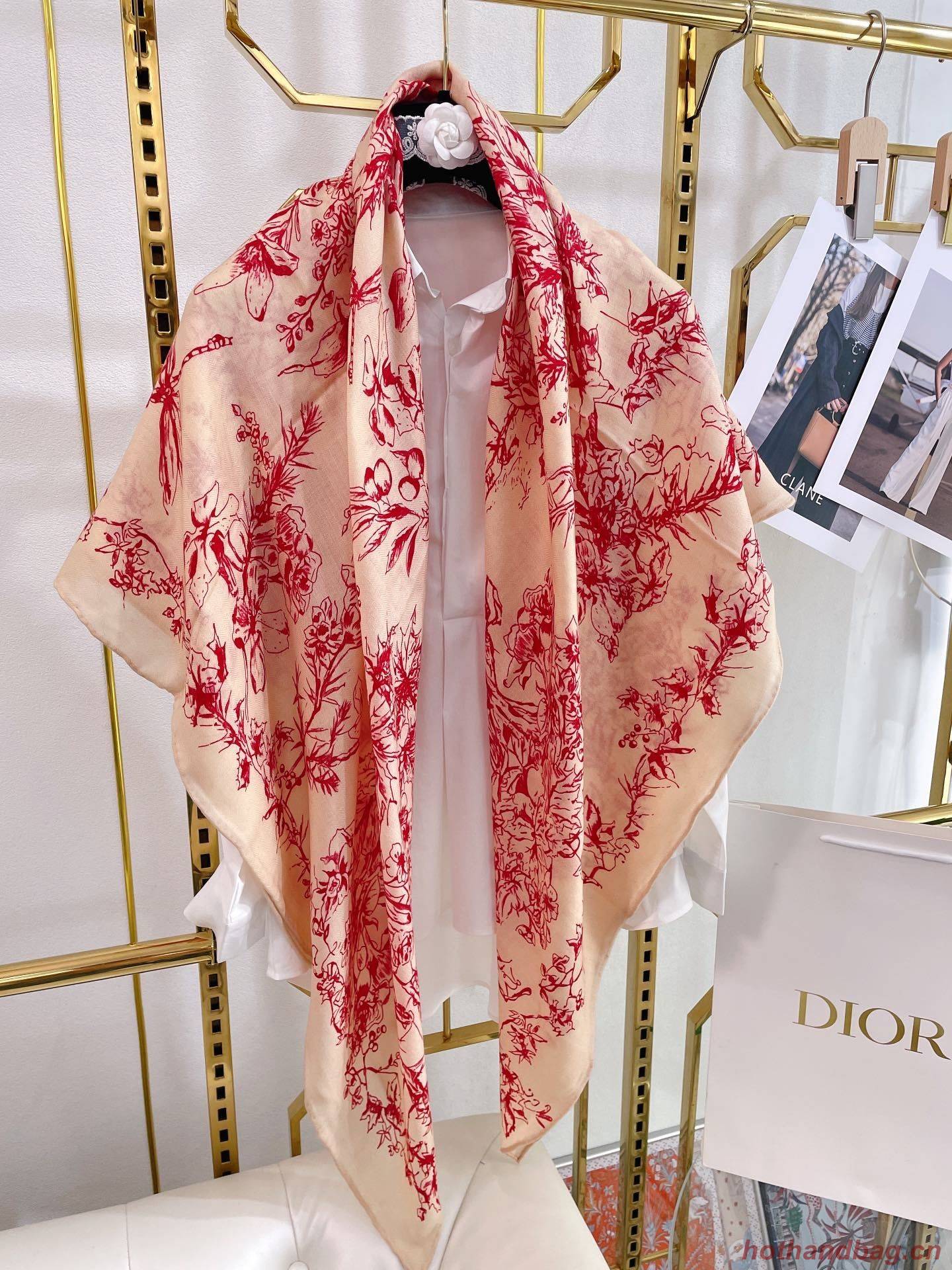 Dior Scarf DIC00134