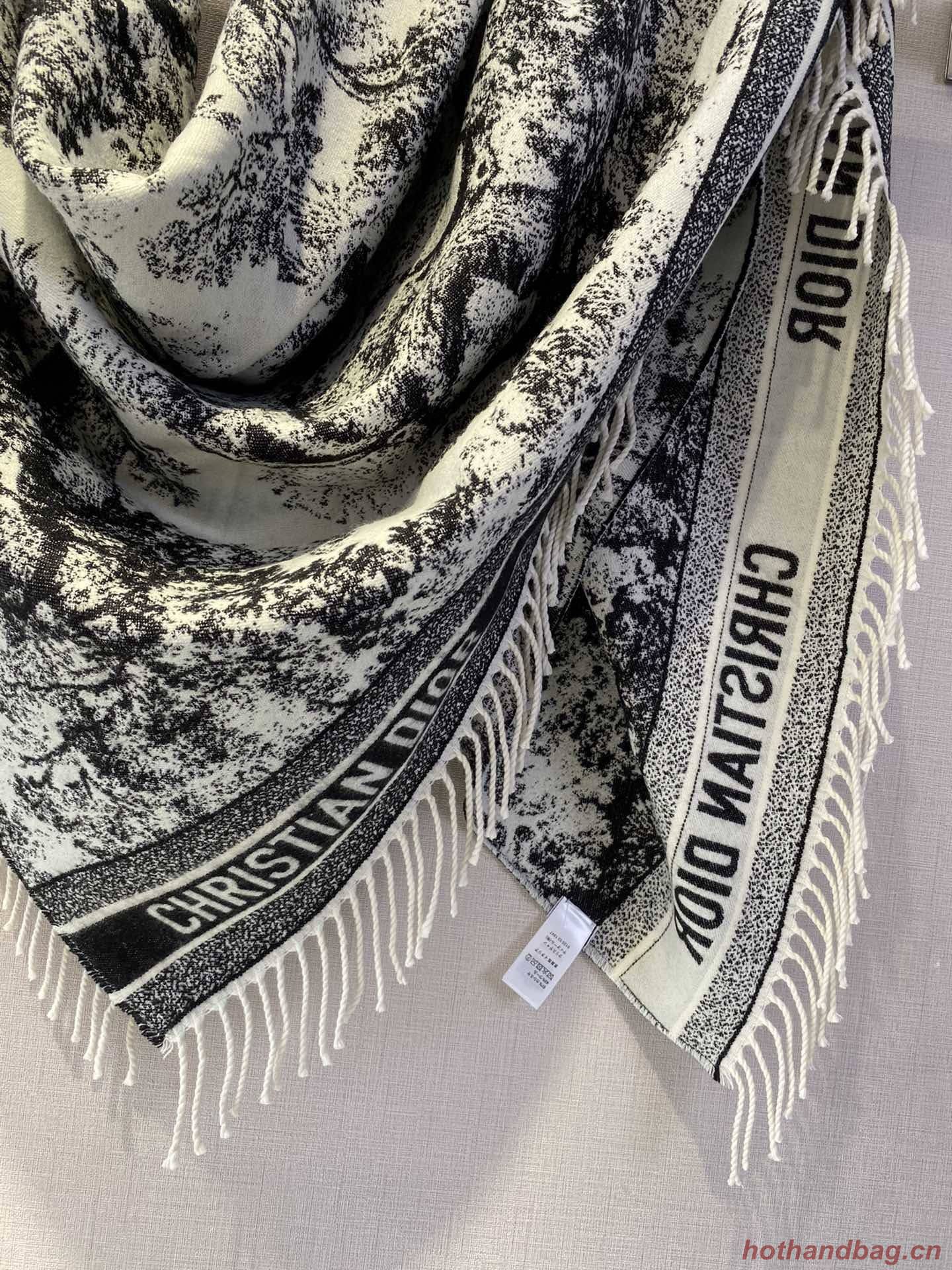 Dior Scarf DIC00139