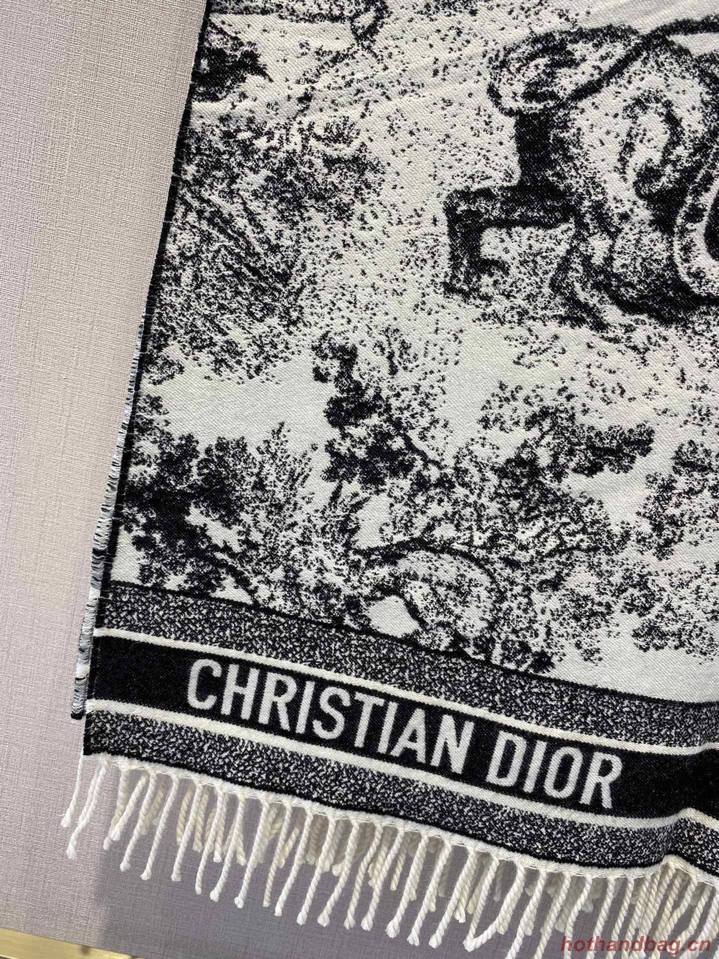 Dior Scarf DIC00139