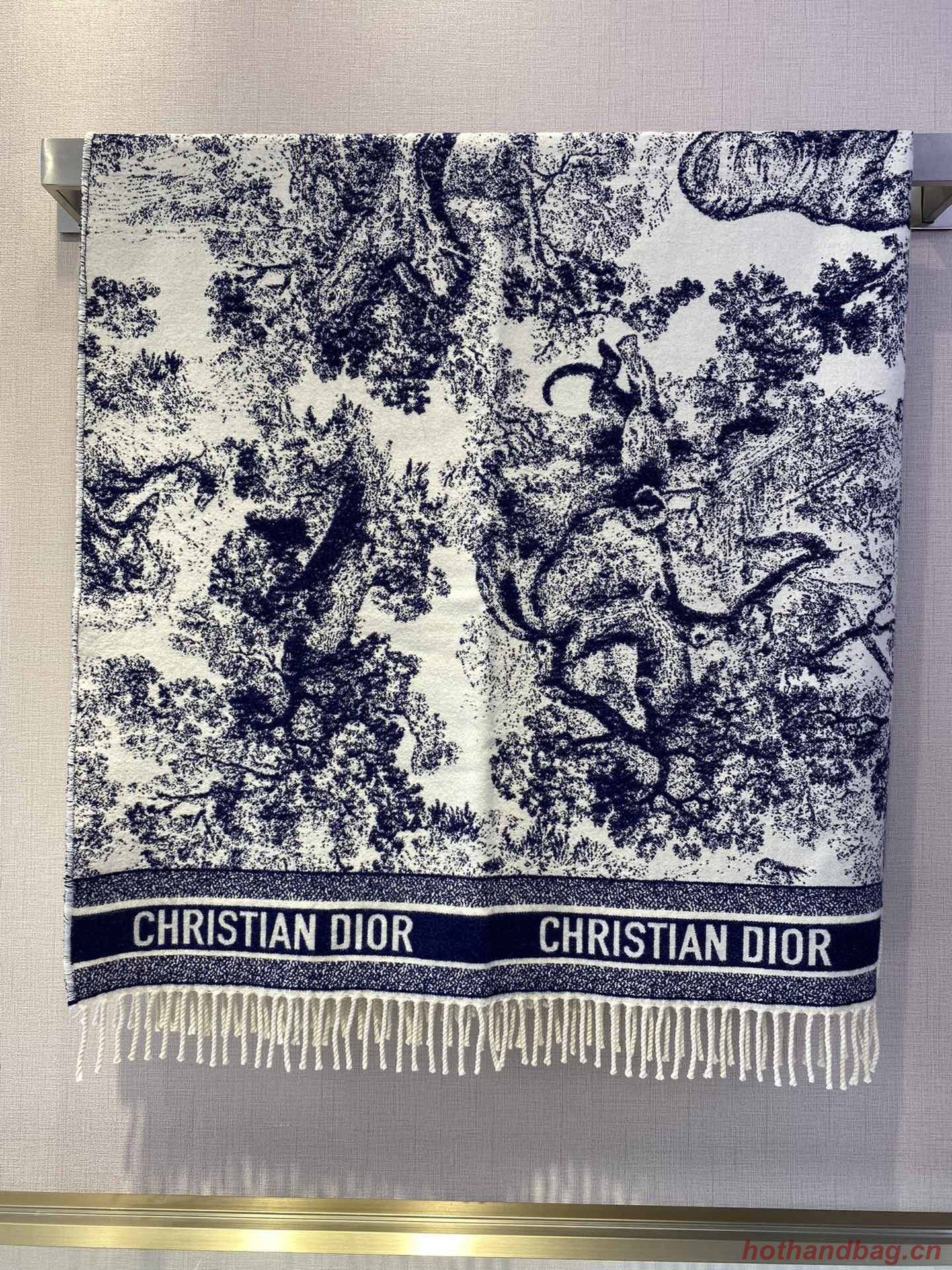 Dior Scarf DIC00140