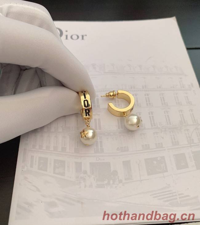 Dior Earrings CE9442