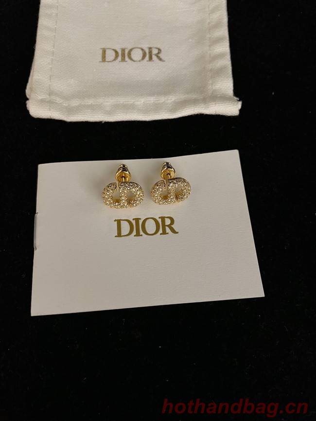 Dior Earrings CE9443