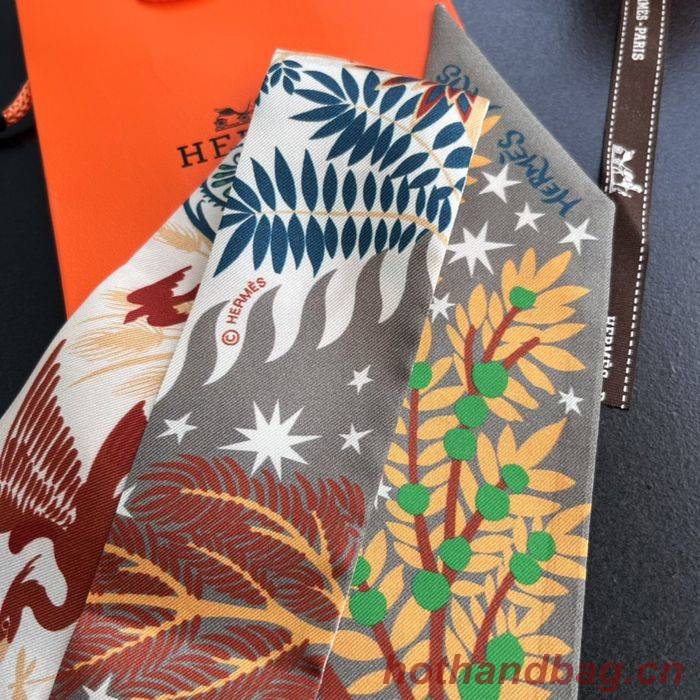 Hermes Scarf HEC00029