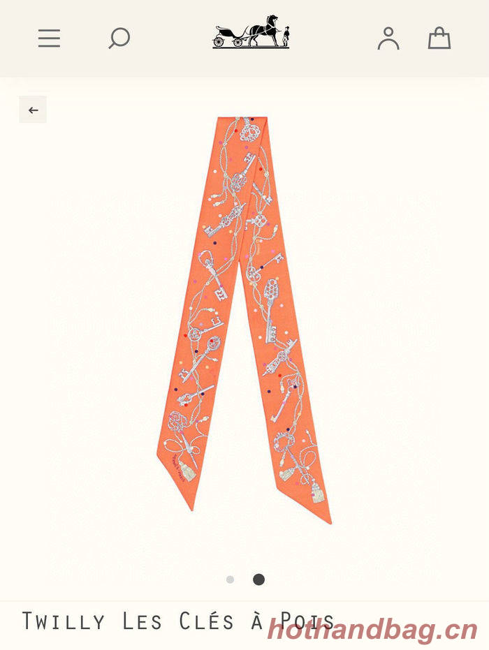 Hermes Scarf HEC00063