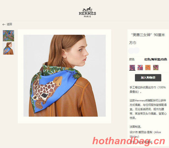 Hermes Scarf HEC00268