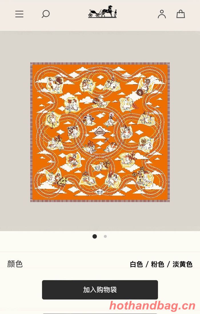 Hermes Scarf HEC00374