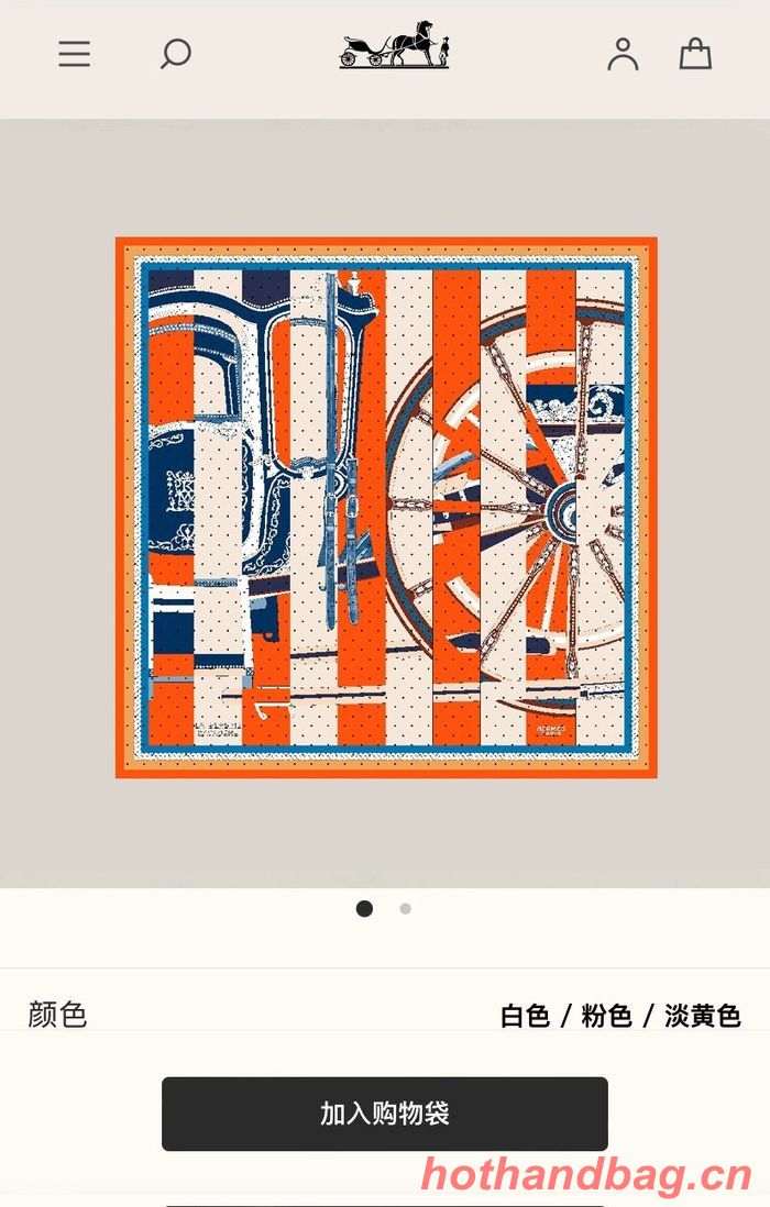 Hermes Scarf HEC00395