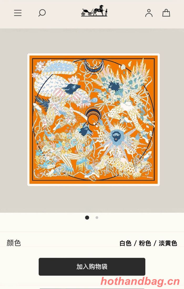 Hermes Scarf HEC00398