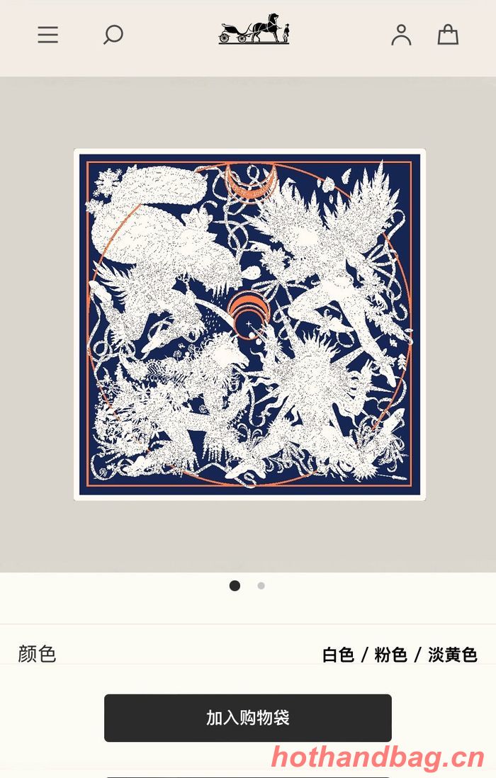 Hermes Scarf HEC00399