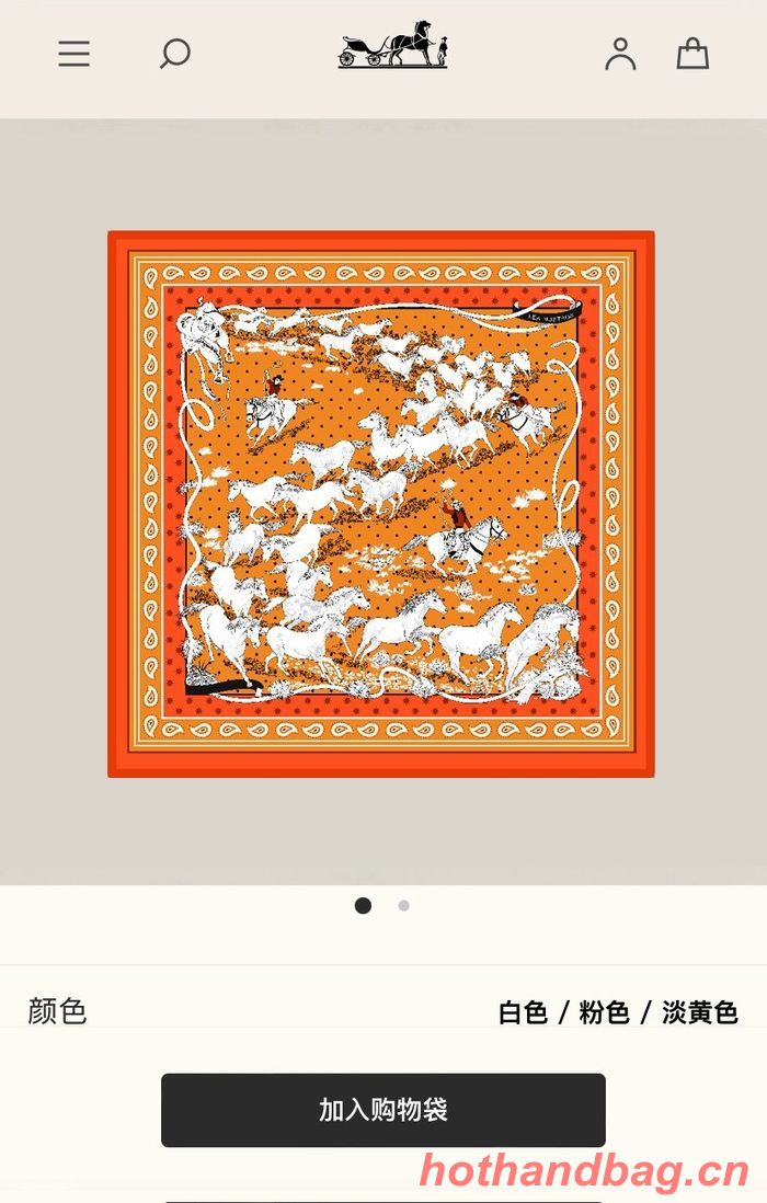 Hermes Scarf HEC00426