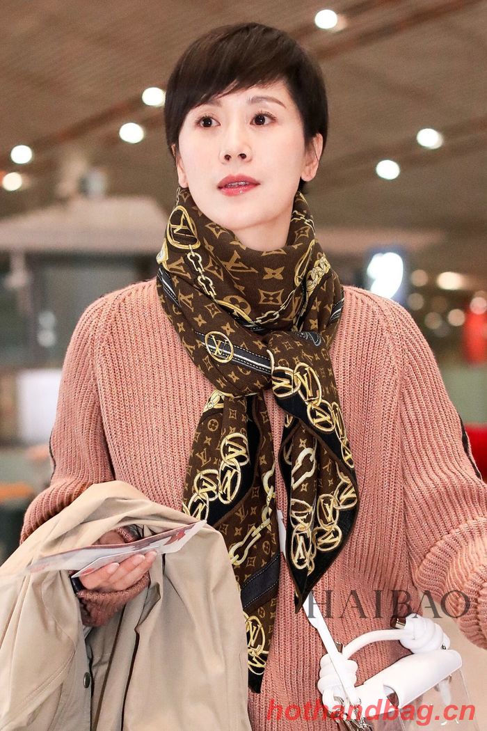 Louis Vuitton Scarf LVC00295