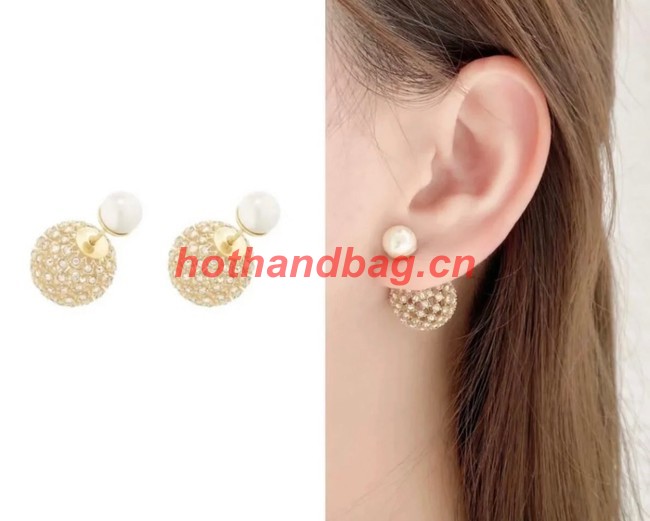 Dior Earrings CE9495